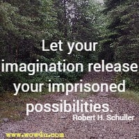 Let your imagination release your imprisoned possibilities. Robert H. Schuller 