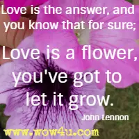 Love is the answer, and you know that for sure; Love is a flower, you've got to let it grow. John Lennon 