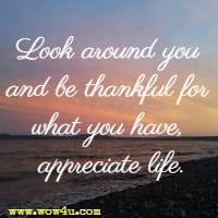 Look around you and be thankful for what you have, appreciate life.
