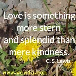 Love is something more stern and splendid than mere kindness. C. S. Lewis 