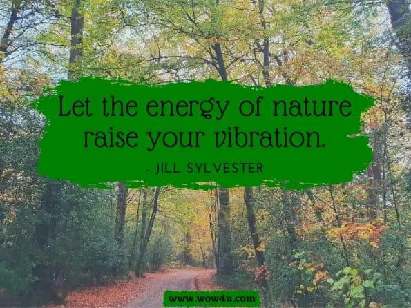Let the energy of nature raise your vibration.JILL SYLVESTER, LMHC. TRUST YOUR INTUITION 