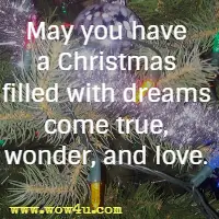 May you have a Christmas filled with dreams come true, wonder, and love.