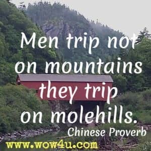 Men trip not on mountains they trip on molehills. Chinese Proverb 