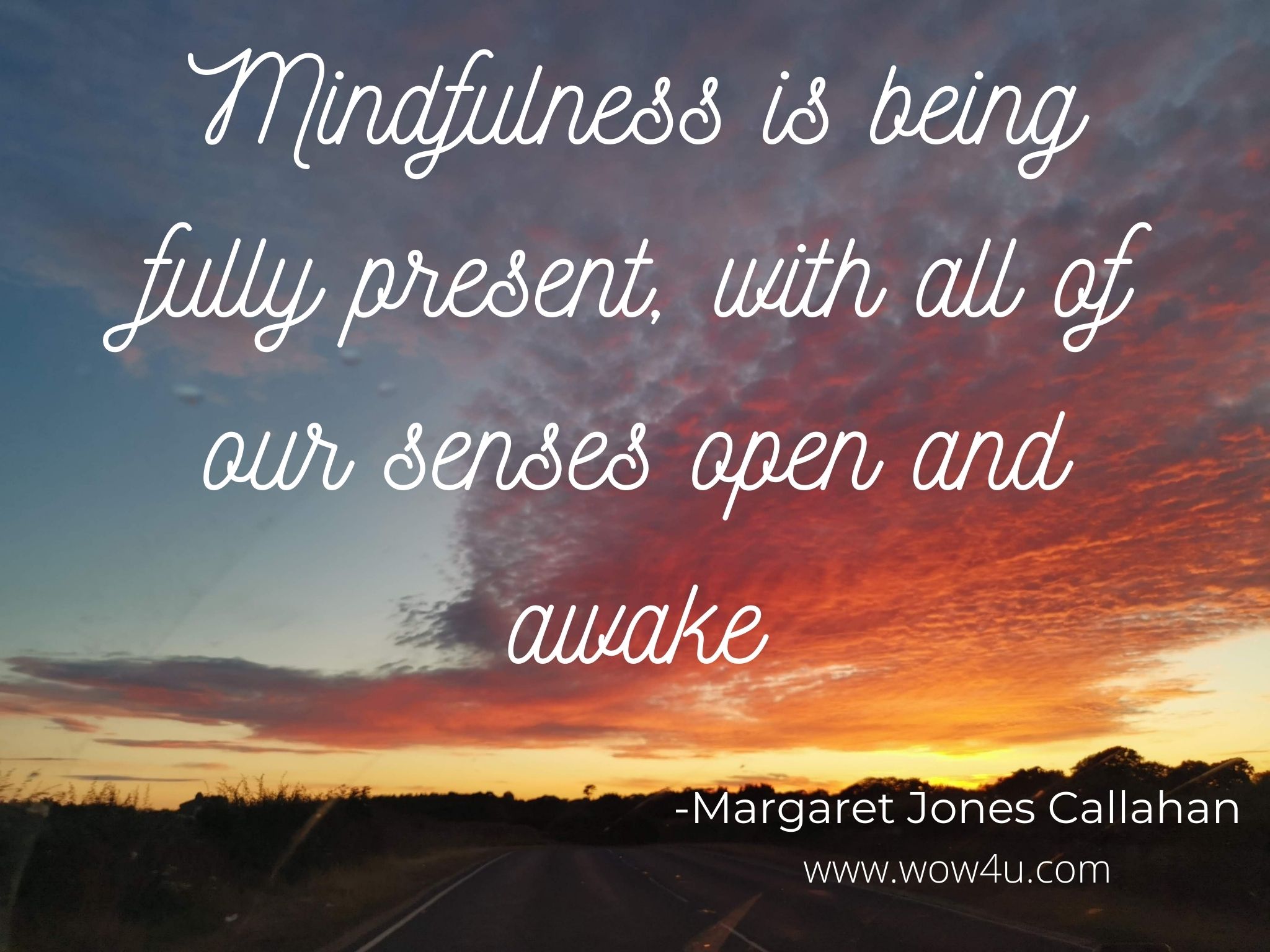  Mindfulness is being fully present, with all of our senses open and awake