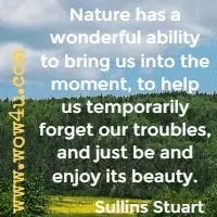 Nature has a wonderful ability to bring us into the moment, to help us temporarily forget our troubles, and just be and enjoy its beauty. Sullins Stuart