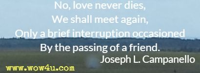 No, love never dies,
We shall meet again,
Only a brief interruption occasioned
By the passing of a friend.