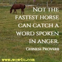 Not the fastest horse can catch a word spoken in anger. Chinese Proverb 