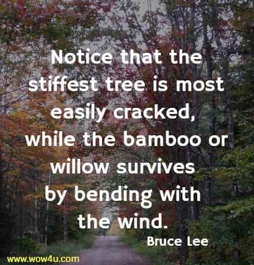 Notice that the stiffest tree is most easily cracked, while the bamboo or willow survives by bending with the wind. 
  Bruce Lee 