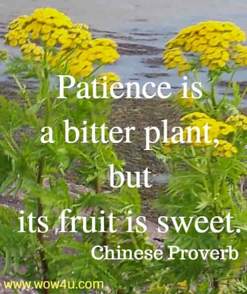 Patience is a bitter plant, but its fruit is sweet. 
 Chinese Proverb