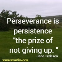 Perseverance is persistence the prize of not giving up. Jane Tedesco