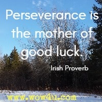 Perseverance is the mother of good luck. Irish Proverb