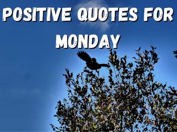 Positive Quotes For Monday