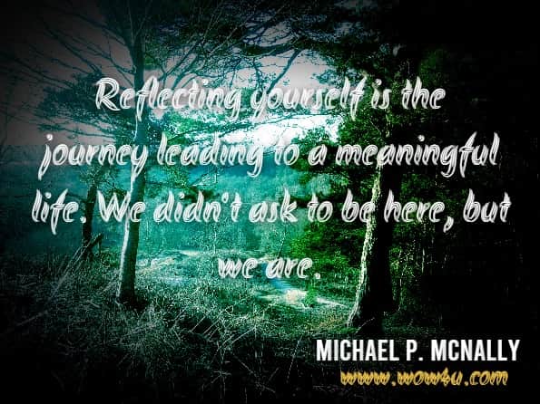 Reflecting yourself is the journey leading to a meaningful life. We didn't ask to be here, but we are.Michael P. McNally