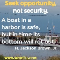 Seek opportunity, not security. A boat in a harbor is safe, but in time its bottom will rot out. H. Jackson Brown, Jr. 