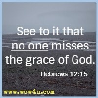 See to it that no one misses the grace of God. Hebrews 12:15 NIV