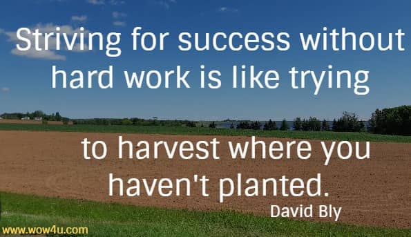 Striving for success without hard work is like trying to harvest where you haven't planted. 
 David Bly