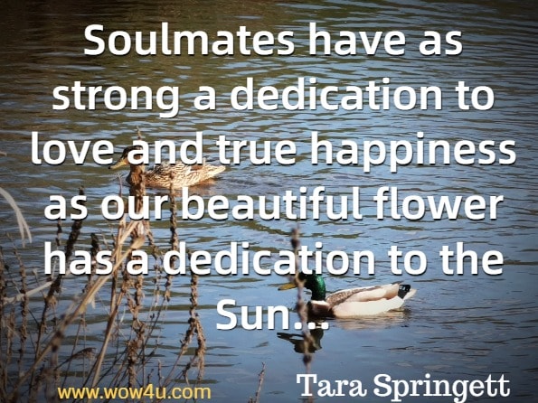 Soulmates have as strong a dedication to love and true happiness as our beautiful flower has a dedication to the Sun. This exquisite flower will always turn towards the Sun and grow and stretch towards it. Tara Springett, Soulmate relationships.