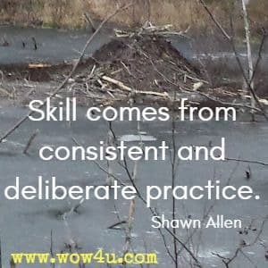 Skill comes from consistent and deliberate practice. Shawn Allen