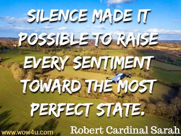 Silence made it possible to raise every sentiment toward the most perfect state. Robert Cardinal Sarah, The Power of Silence 