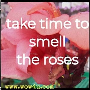 take time to smell the roses 