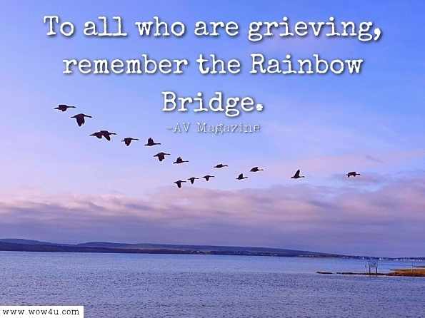 To all who are grieving, remember the Rainbow Bridge. AV Magazine 2014: From the Heart - Page 20 