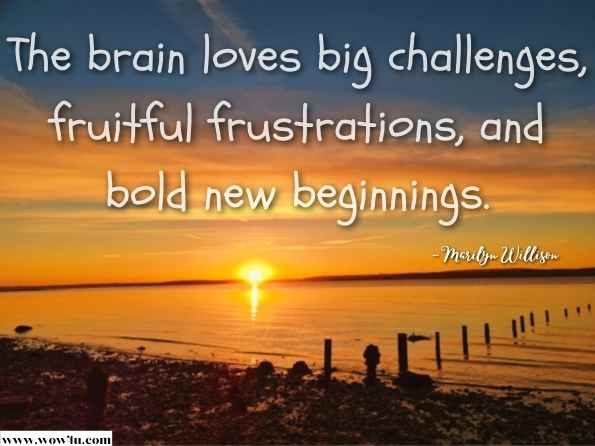 The brain loves big challenges, fruitful frustrations, and bold new beginnings. Marilyn Willison, Be Bold 