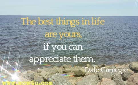 The best things in life are yours, if you can appreciate them. Dale Carnegie 