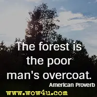 The forest is the poor man's overcoat. American Proverb