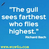 The gull sees farthest who flies highest. Richard Bach