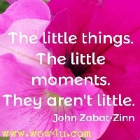 The little things. The little moments. They aren't little.  John Zabat-Zinn 