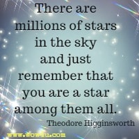 There are millions of stars in the sky and just remember that you are a star among them all. Theodore Higginsworth 
