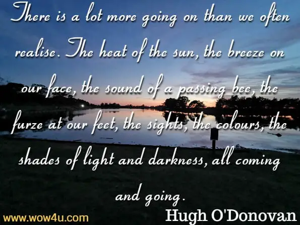 There is a lot more going on than we often realise. The heat of the sun, the breeze on our face, the sound of a passing bee, the furze at our feet, the sights, the colours, the shades of light and darkness, all coming and going. Hugh O'Donovan, Mindfull Walking 
