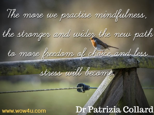 The more we practise mindfulness, the stronger and wider the new path to more freedom of choice and less stress will become. Dr Patrizia Collard, The Mindfulness Bible
