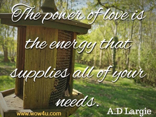 The power of love is the energy that supplies all of your needs. A.D Largie, World Wide Love
