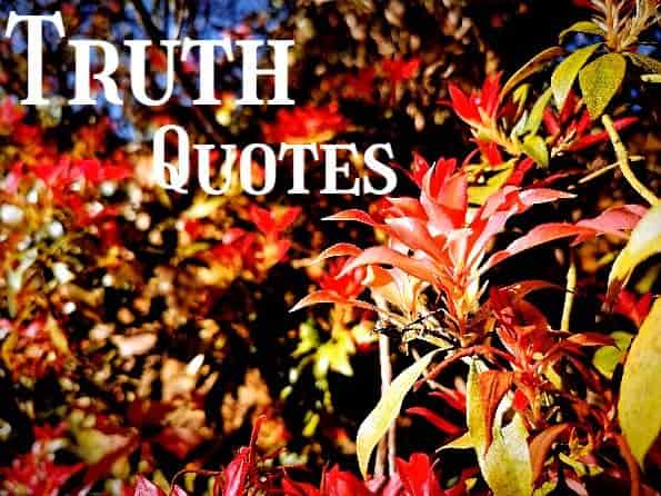 Truth,quotes,flower