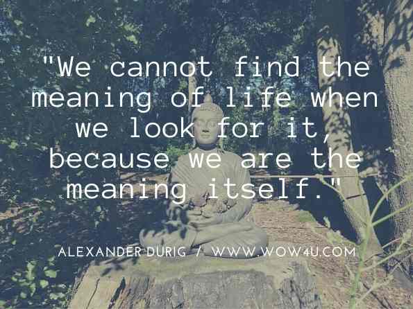 We cannot find the meaning of life when we look for it , because we are the meaning itself. Alexander Durig, Autism and the Crisis of Meaning