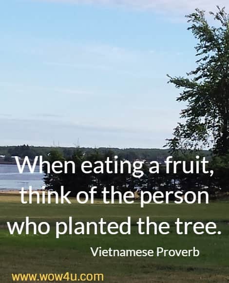 When eating a fruit, think of the person who planted the tree.
  Vietnamese Proverb