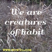 We are creatures of habit