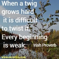 When a twig grows hard it is difficult to twist it. Every beginning is weak.  Irish Proverb 