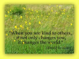 When you are kind to others, it not only changes you, it changes the world.  Harold Kushner 