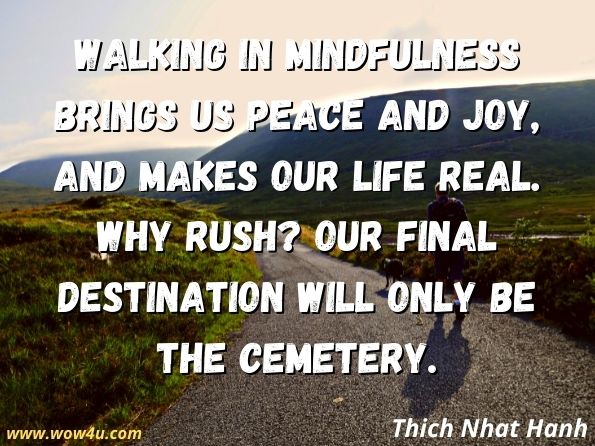 Walking in mindfulness brings us peace and joy, and makes our life real. Why rush? Our final destination will only be the cemetery.