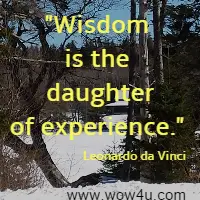 Wisdom is the daughter of experience. Leonardo da Vinci