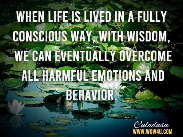When life is lived in a fully conscious way, with wisdom, we can eventually overcome all harmful emotions and behavior.Culadasa, The Mind Illuminated