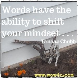 Words have the ability to shift your mindset . . .  Tanaaz Chubb