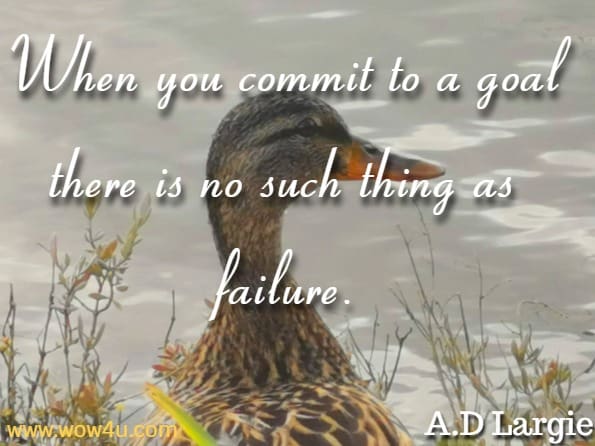 When you commit to a goal there is no such thing as failure. A.D Largie, Mind Body Energy