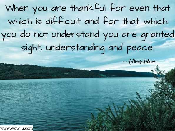 When you are thankful for even that which is difficult and for that which you do not understand you are granted sight, understanding and peace. Anthony Salerno. Beyond the Emotional Roller Coaster