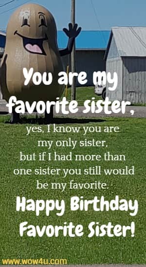 You are my favorite sister, yes, I know you are my only sister, but if I had more than one sister you still would be my favorite. Happy Birthday Favorite Sister!