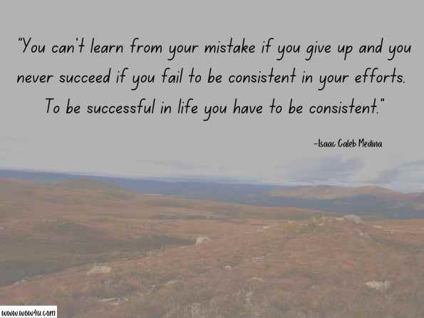 You can't learn from your mistake if you give up and you never succeed if you fail to be consistent in your efforts. To be successful in life you have to be consistent. Isaac Caleb Medina , The 98 Percent Every Damn Day You Too Can Make Money! 