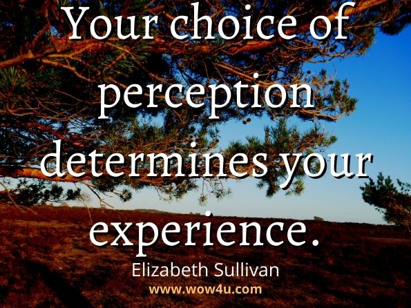 Your choice of perception determines your experience. Elizabeth Sullivan,Transfiguration: When Perception Meets Truth